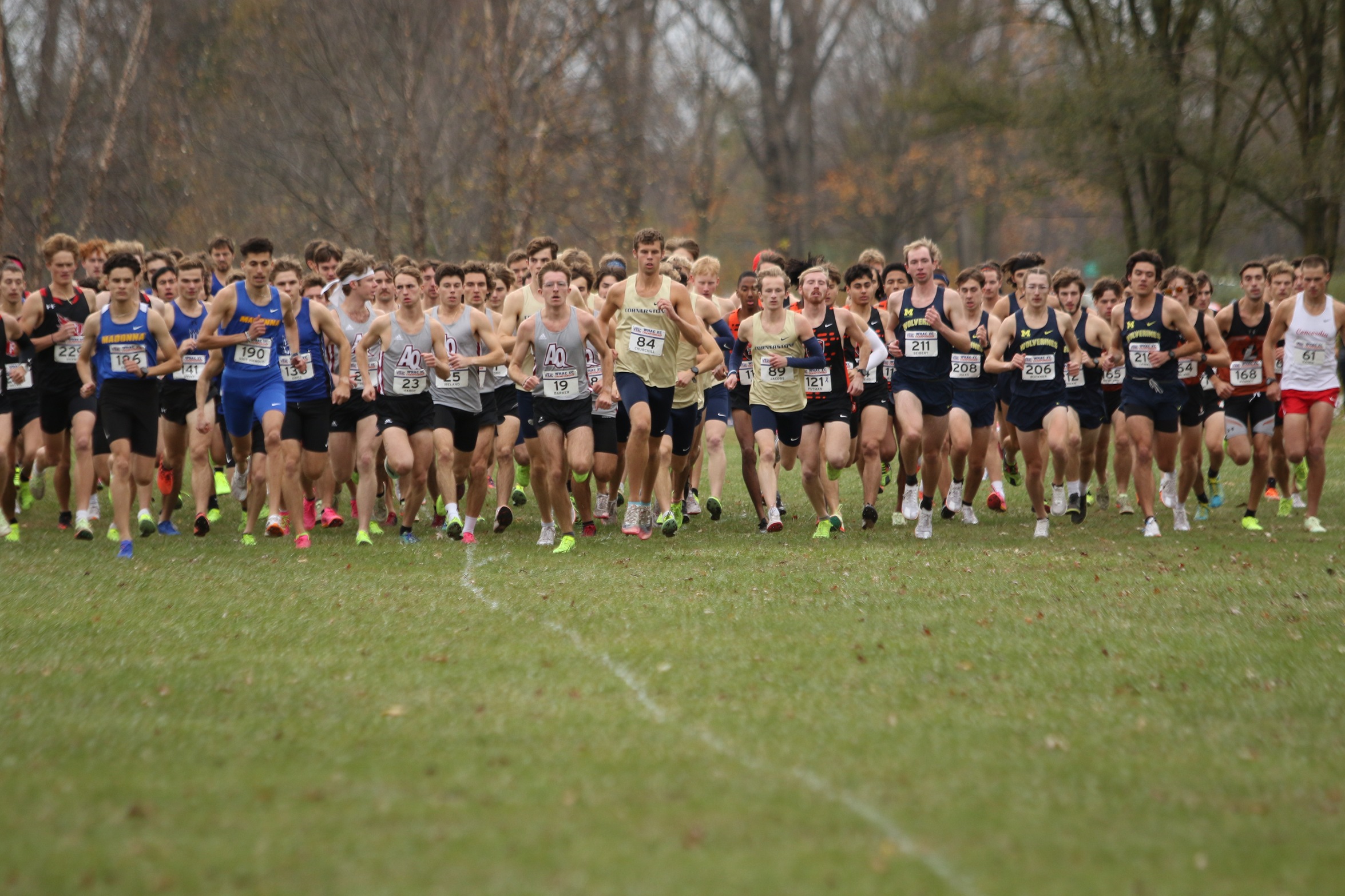 WHAC Qualifies Aquinas, four individuals for 2023 NAIA Cross Country Championships