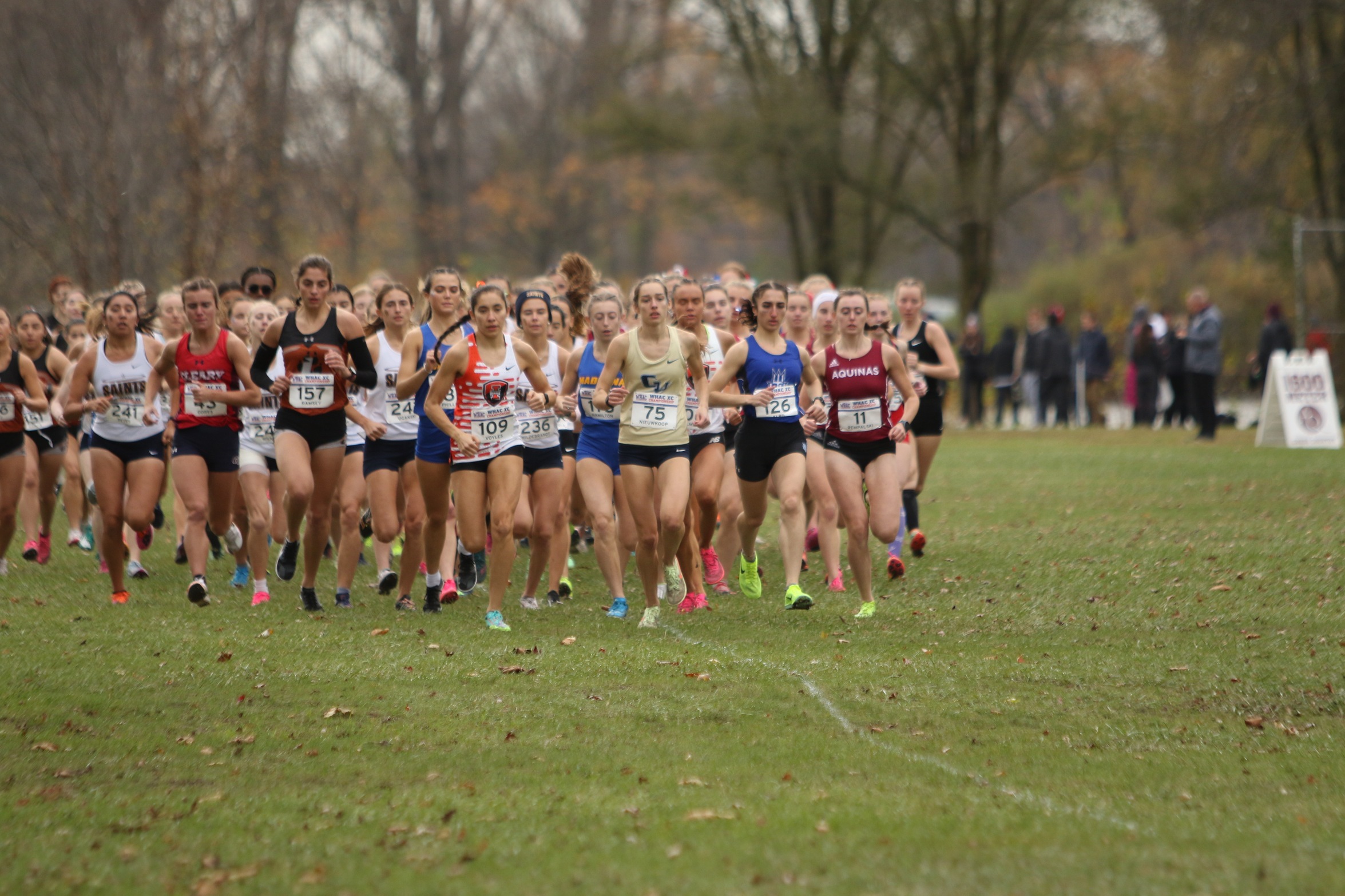 WHAC Qualifies Cornerstone, Four Individuals for NAIA Cross Country Championships
