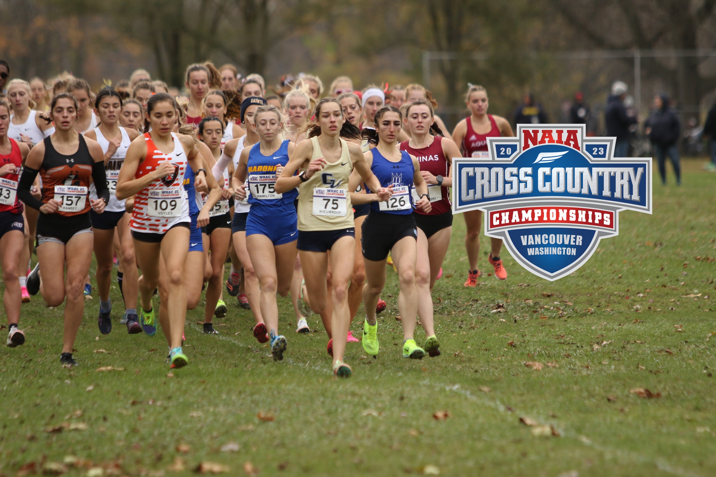 Cornerstone 20th, Nieuwkoop 12th at Cross Country Nationals